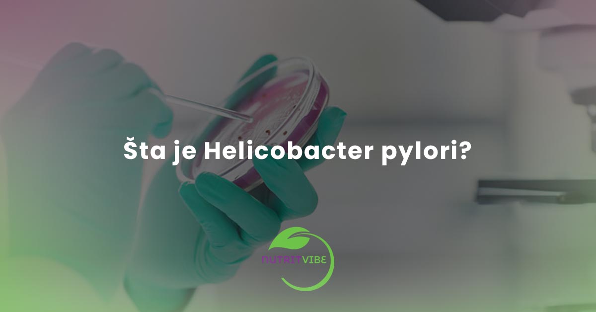 Šta je Helicobacter pylori?